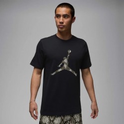 Футболка Jordan Sport