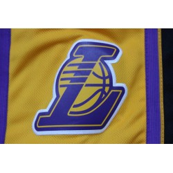  Шорты Lakers