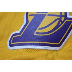  Шорты Lakers