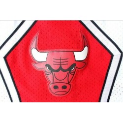 Шорты Chicago Bulls Retro