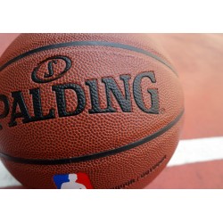  Мяч Spalding