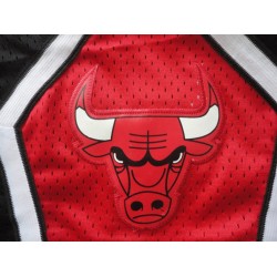 Шорты Chicago Bulls Retro